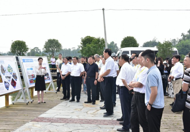 百余名专家、学者“走进梁平”大调研 共话梁平区乡村振兴新篇章